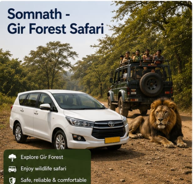 Gir Forest Safari